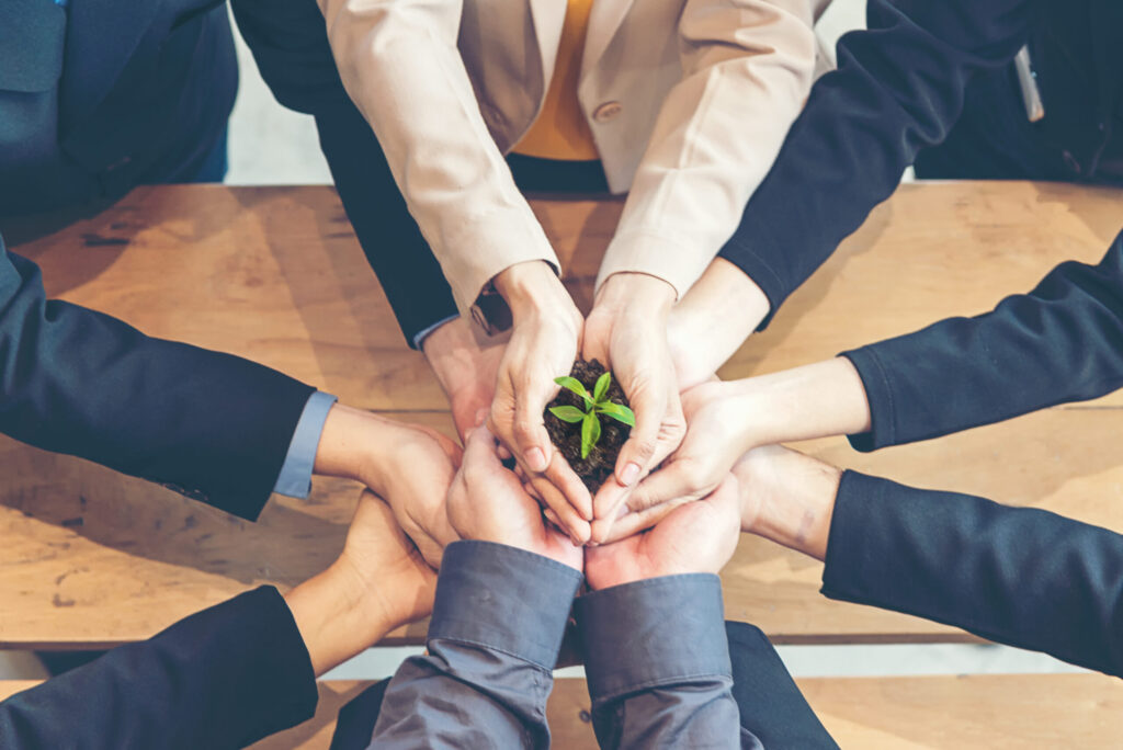 Business team holding a small plant in their hands, symbolizing sustainability and growth.